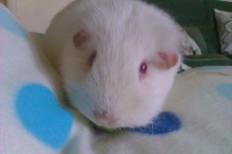 IMAG0105.jpg
