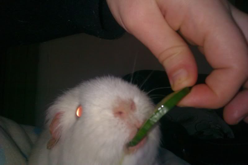 IMAG0106.jpg