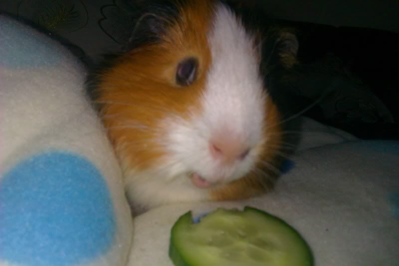 IMAG0110.jpg