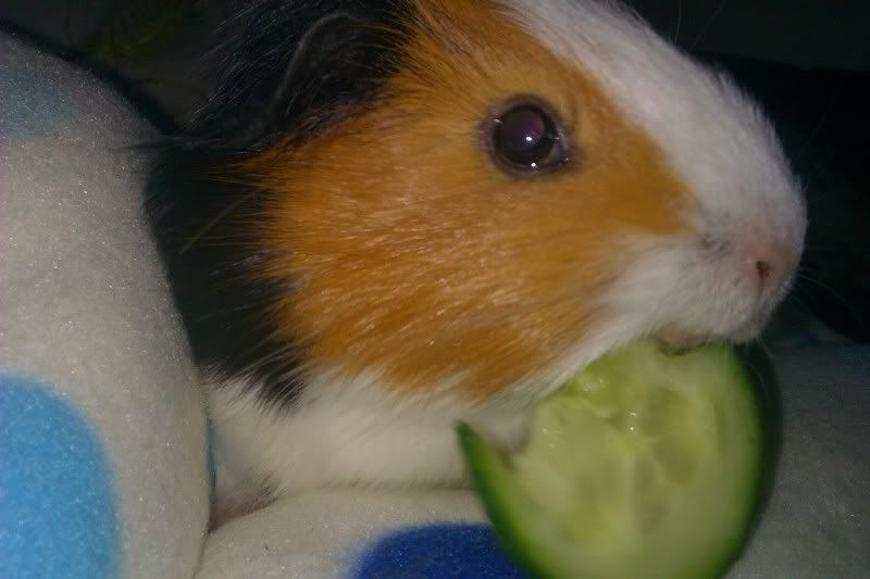 IMAG0111.jpg