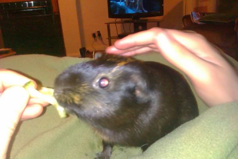 IMAG0115.jpg