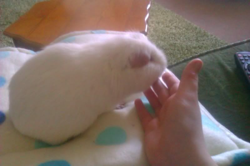 IMAG0139.jpg