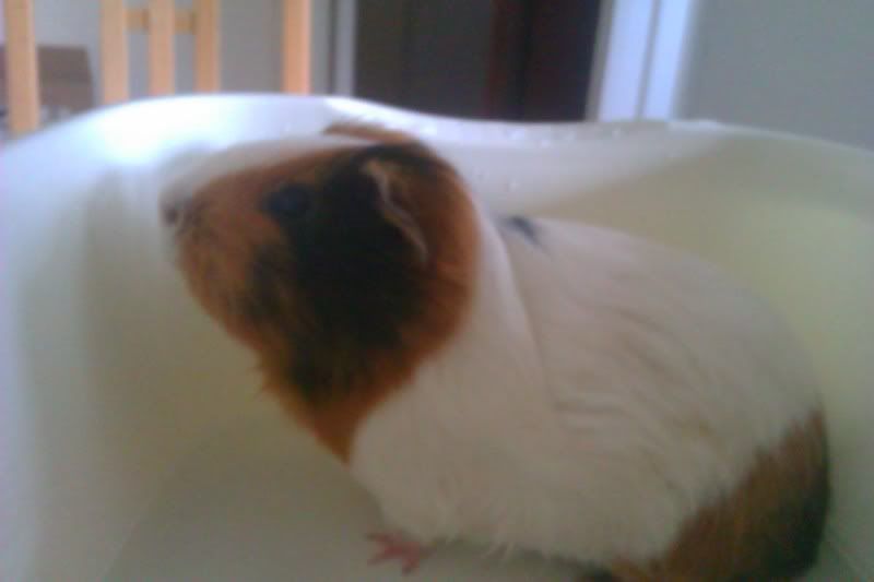 IMAG0157.jpg