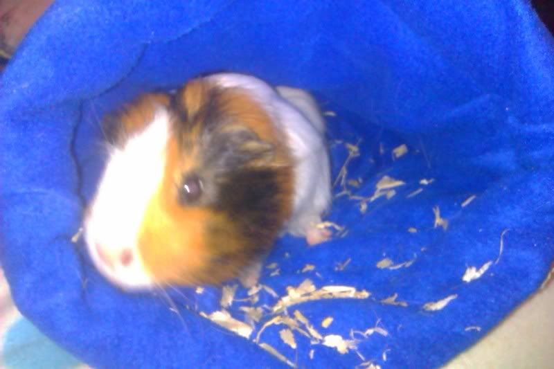IMAG0171.jpg