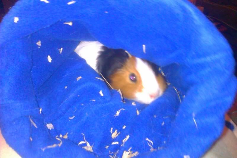 IMAG0174.jpg