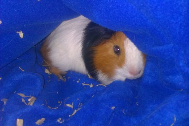 IMAG0179.jpg