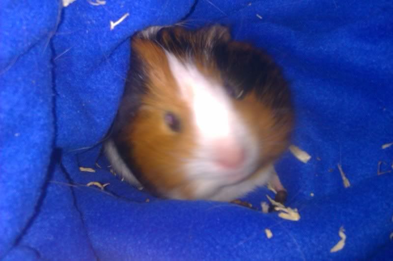 IMAG0183.jpg