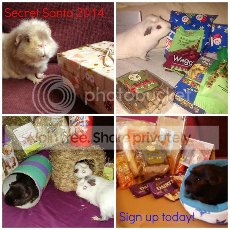 SecretSanta2_zps0d144fff.jpg