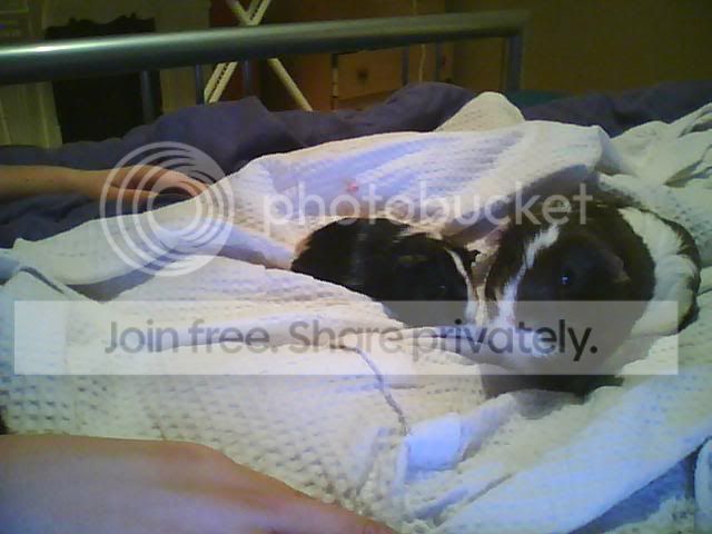 Picture0009.jpg