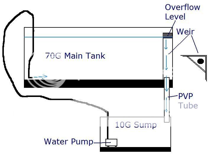 Building a Weir and Sump...Any advice? | The Planted Tank Forum