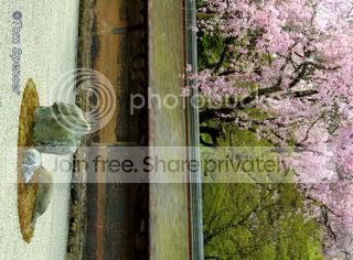 https://i40.photobucket.com/albums/e237/woohooforthis/Japan-I184b.jpg
