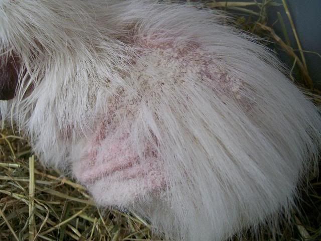 080.jpg