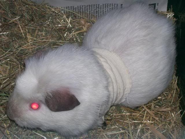 120.jpg