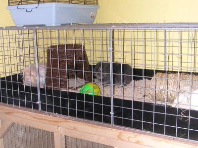 DSCN3652.jpg