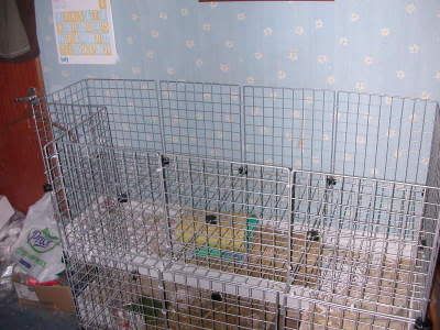 DSCN3667.jpg