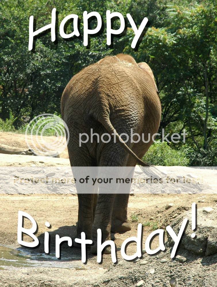 Birthday Elephant Photo by Nix14085 | Photobucket